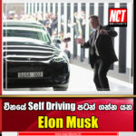 චීනයේ Self Driving පටන් ගන්න යන Elon Musk